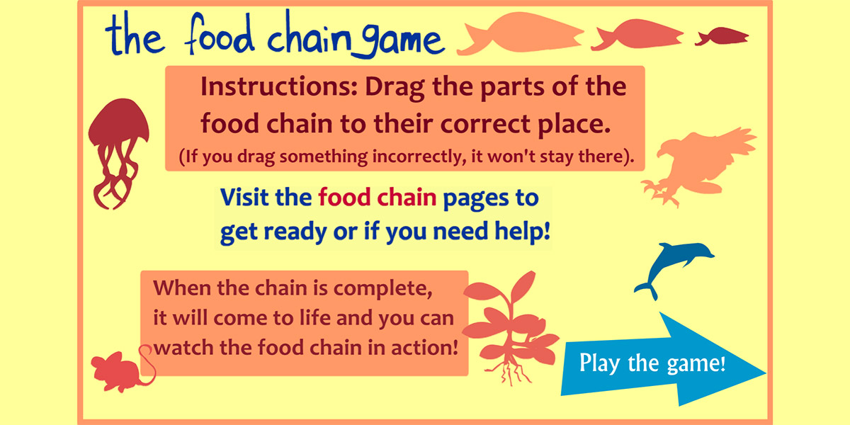 Food Chain – Web and Mobile game
