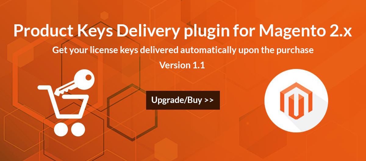 The Product Keys Delivery plugin 1.1 version for Magento 2.x has been release today
